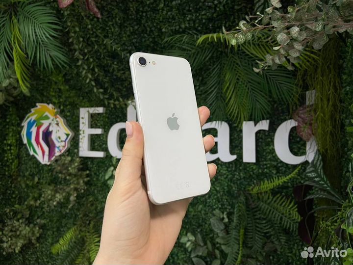 iPhone Se 2020 64Gb
