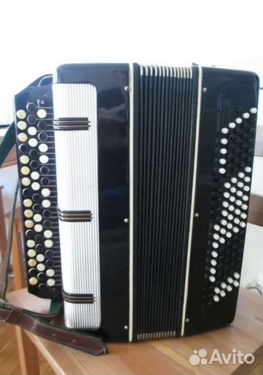 Баянист на праздник,музыкант