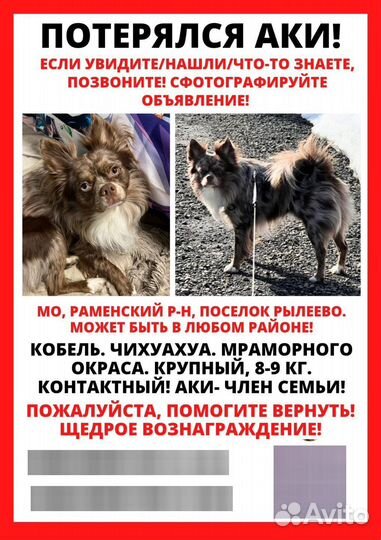 Чихуахуа