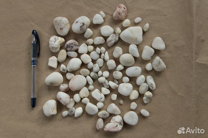 Ракушки/камушки для творчества, декора, аквариума