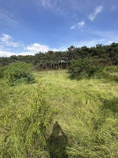 Участок 11,5 сот. (СНТ, ДНП)