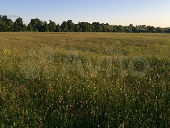 Участок 25 сот. (ИЖС)