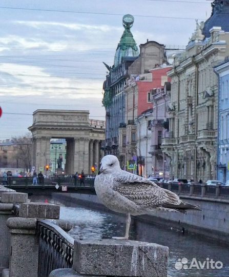 Экскурсии по Санкт-Петербургу