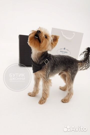 Ошейник-воротник Prada