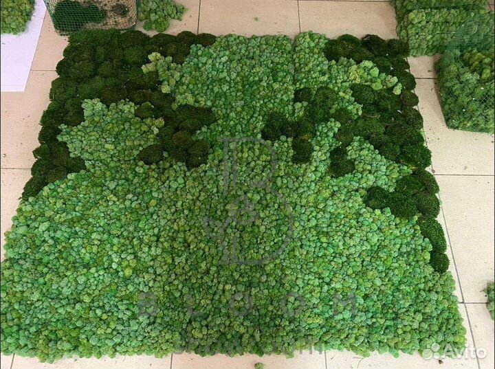 Панно мох ягель для офиса, в спальню, в ванную