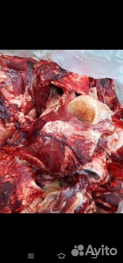 Мясо для собак