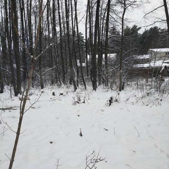 Участок 24 сот. (ИЖС)