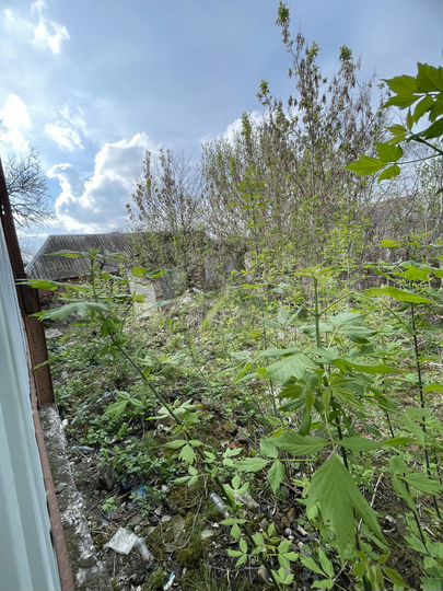 Участок 6 сот. (ИЖС)