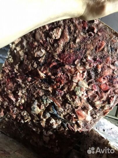 Рыбные отходы на корм для животных