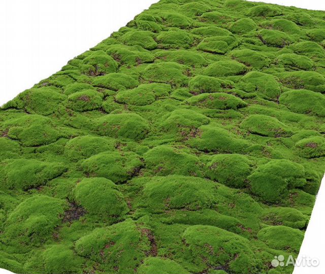 Искусственная трава покрытие