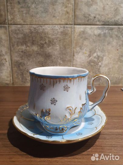 Чашка с блюдцем фарфор Вербилки.Гарден