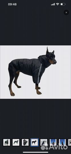 Комбенизон куртка на крупную собаку