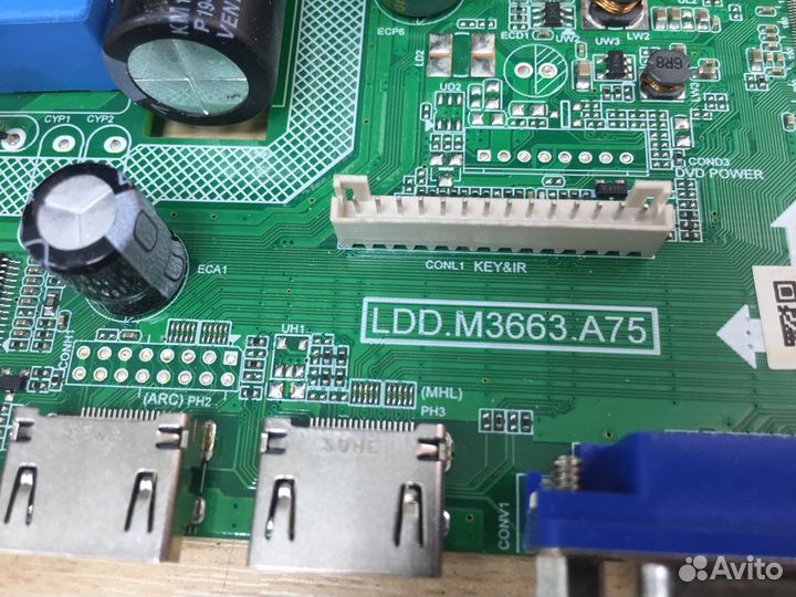 LDD.M3663.A75 донор