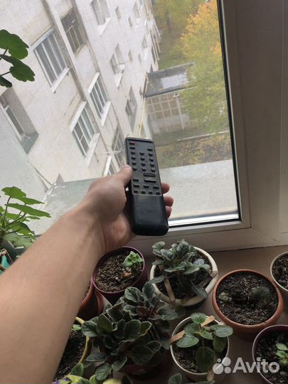 Телевизоры две штуки