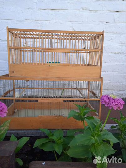 Клетки для канареек