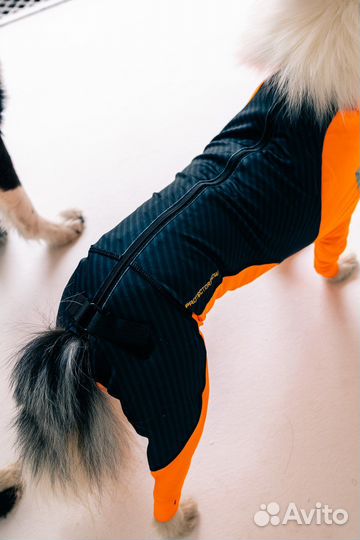 Комбинезон для собак protector snow Non-stop