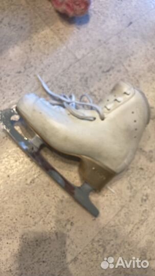 Коньки Edea chorus 230