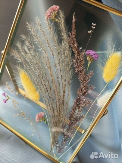 Гербарий в стекле в рамке