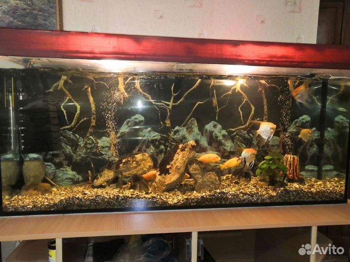 Аквариум 200 л с тумбой
