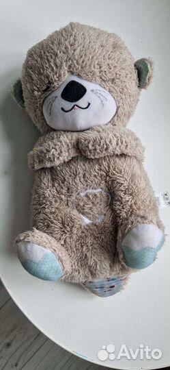 Бобёр храпящий