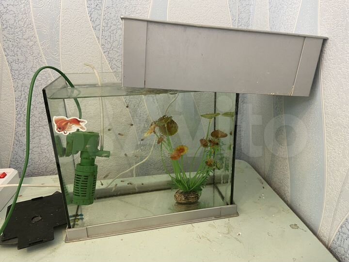 4-к. квартира, 80 м², 7/9 эт.