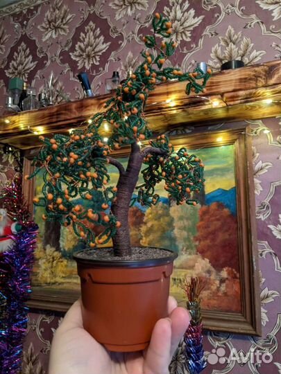 Апельсиновое дерево