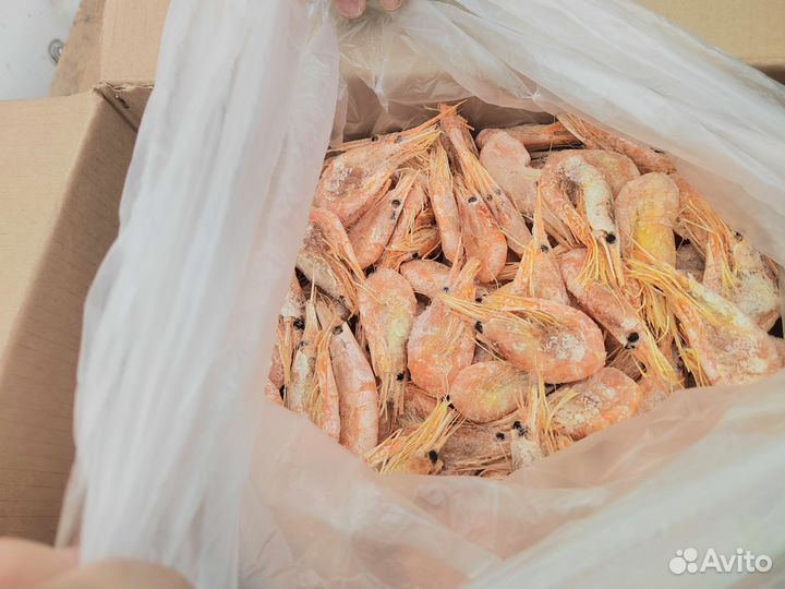 Креветка северная 5 кг