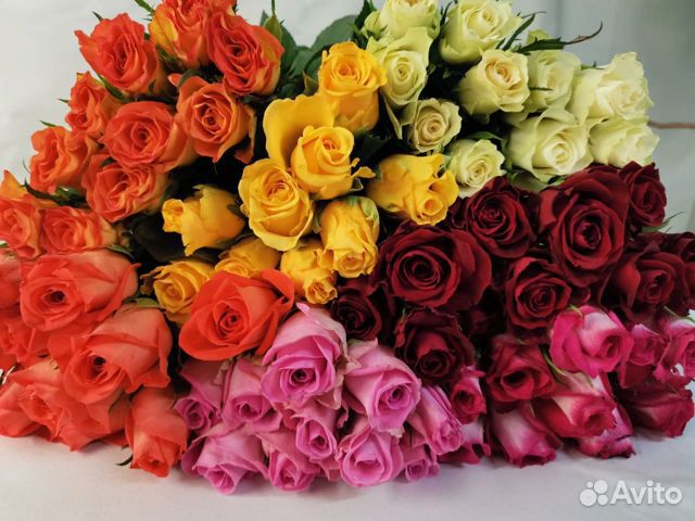 Роза одноголовая Оптом и в розницу