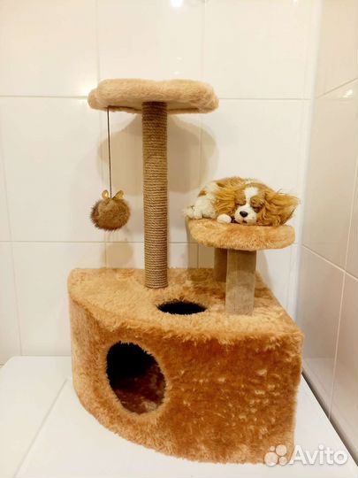 Домик с когтеточкой