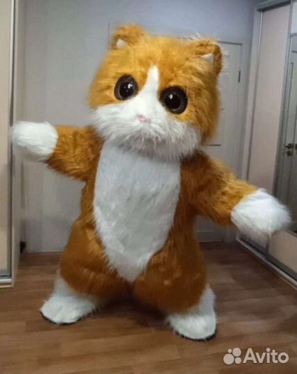 Поздравление ростовой куклы Котика Рыжика