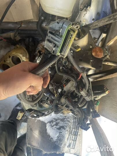 Brp summit 800 запчасти