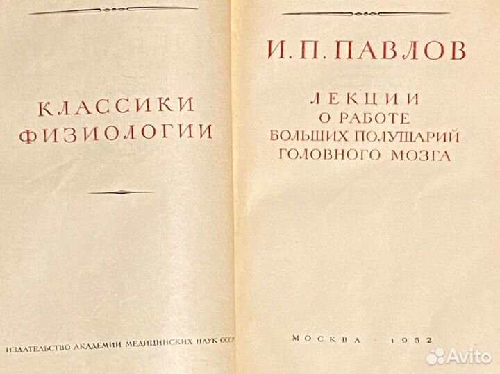 Основы физиологии человека