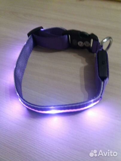 Ошейник с подсветкой