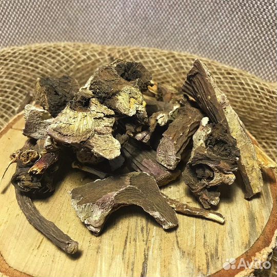 Марьин корень Травы Алтая