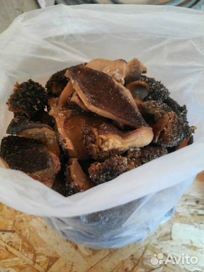 Корм для собак