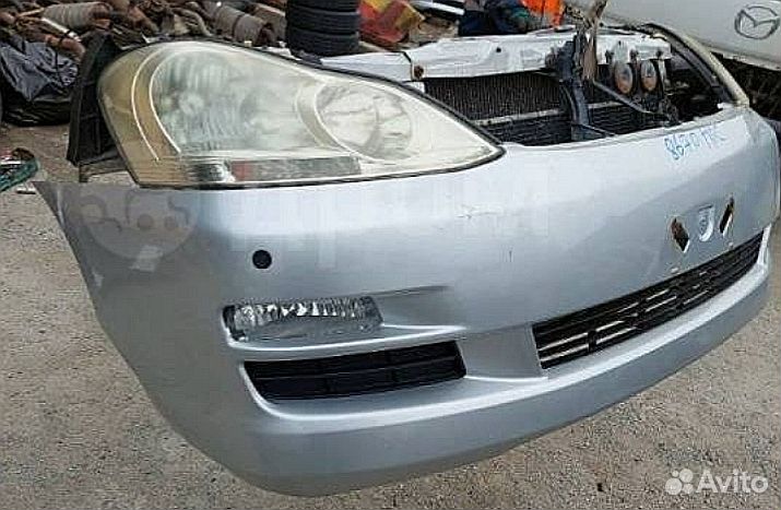 Ноускат lpsym
