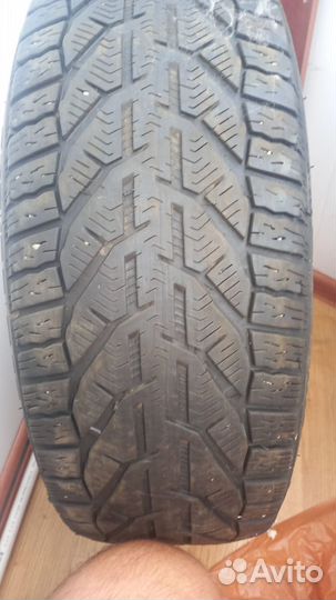 Tigar Winter 205/55 R17