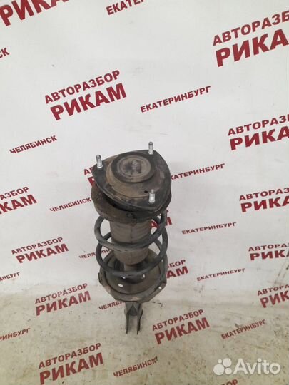 Стойка передняя Toyota Bb NCP30 2NZ-FE 2005