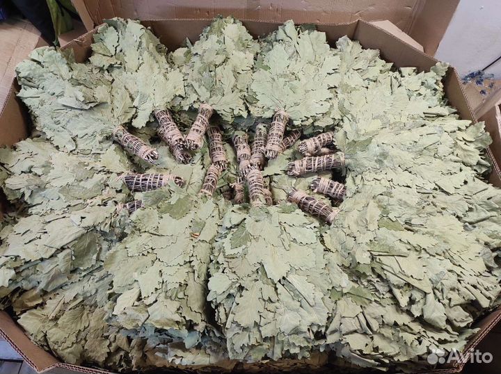 Веники из кавказского дуба