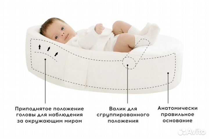 Кокон зевушка