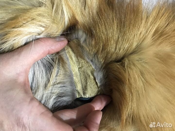 Меховой воротник