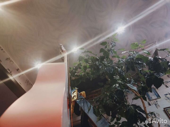 Гитара Belucci