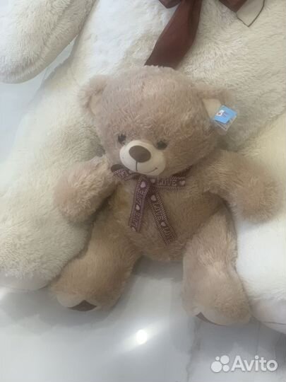 Плюшевый медведь
