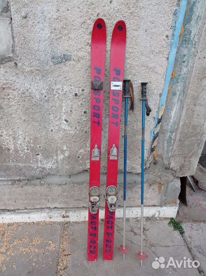 Горные лыжи