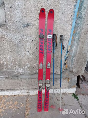 Горные лыжи