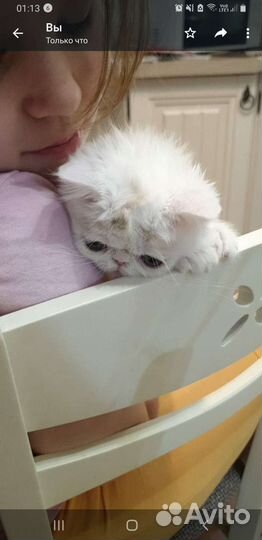 Экзотическая