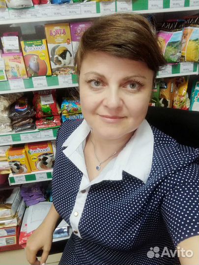 Стерилизация кошек и собак