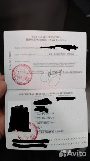 Миграционный специалист, РВП, ВНЖ, Гражданство