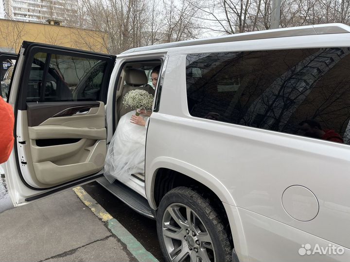 Организатор, ведущий мероприятий, свадеб