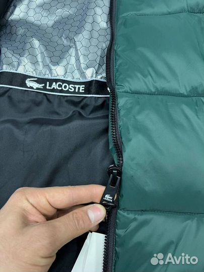 Пуховик зимний Lacoste стильный (хит 2024)